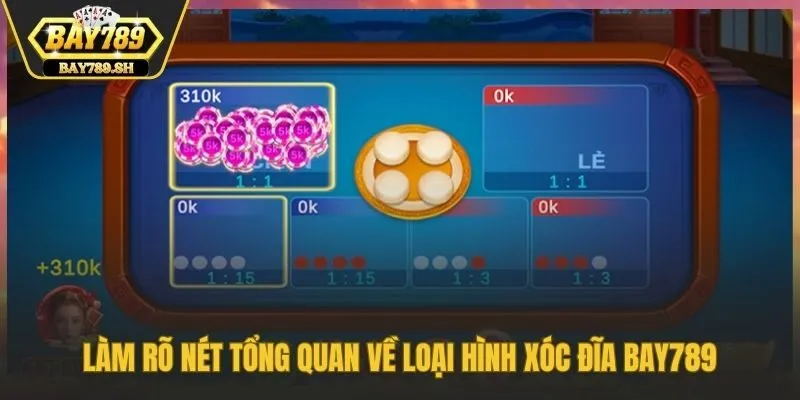 Làm rõ nét tổng quan về loại hình xóc đĩa Bay789
